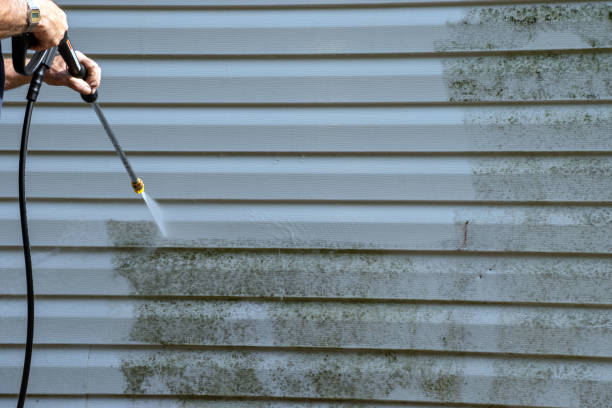  Cade, LA Siding Installation Pros