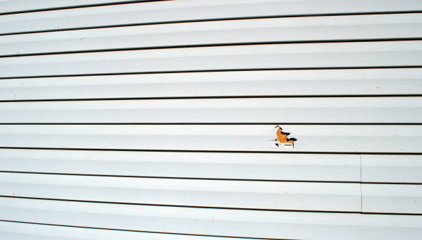 Cade, LA Siding Installation & Repair Company